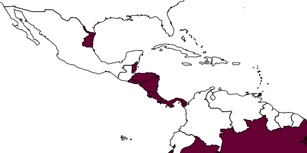 map of Digonocryptus variegatus     (Szépligeti, 1916)
